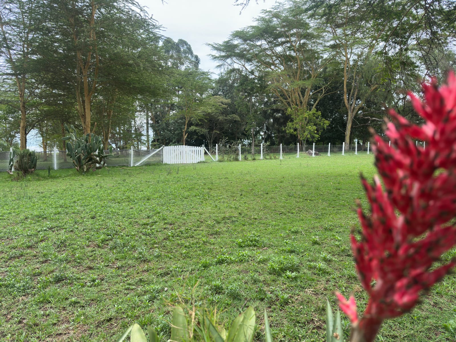 Qpembeni Cottages